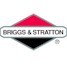 Carburatori Briggs&Stratton