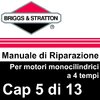 Manuale di Riparazione Briggs&Stratton Monocilindrici 5RegV