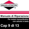 Manuale di Riparazione Briggs&Stratton Monocilindrici OHV 9Pist