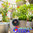 Set AquaBloom Irrigazione a Energia Solare Gardena 13300