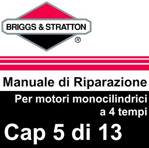 Manuale di Riparazione Briggs&Stratton Monocilindrici 5RegV