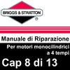 Manuale di Riparazione Briggs&Stratton Monocilindrici 8Lubr