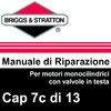 Manuale di Riparazione Briggs&Stratton Monocilindrici OHV 7cAlt