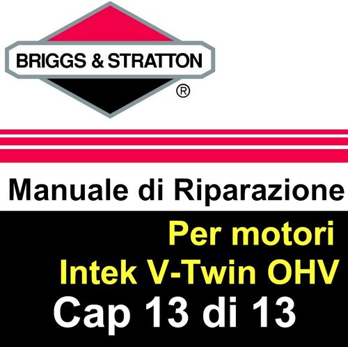 Manuale di Riparazione Briggs&Stratton Intek V 13 Mont