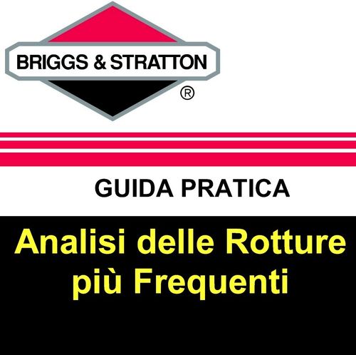 Analisi Briggs&Stratton delle Rotture più Frequenti
