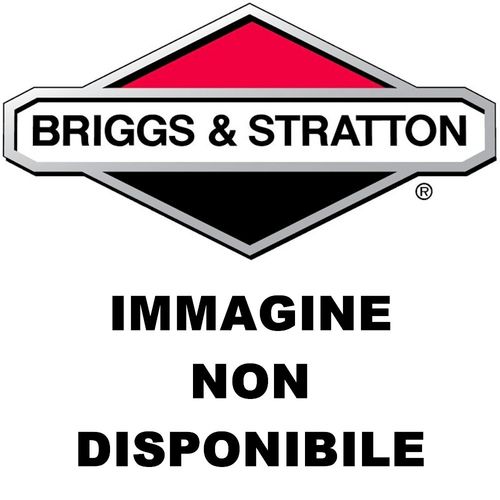 Serie Guarnizioni Briggs&Stratton 491999