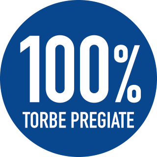 100-TORBE-PREGIATE