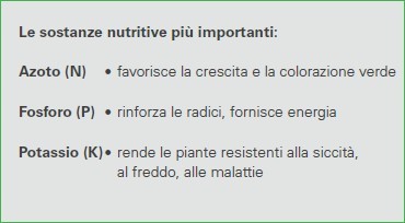 Sostanze Nutritive Prato 