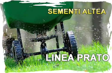 Sementi_Altea_Linea_Prato