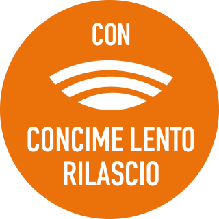 con_concime_a_lento_rilascio