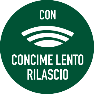 con_concime_a_lento_rilascio_ornamentali
