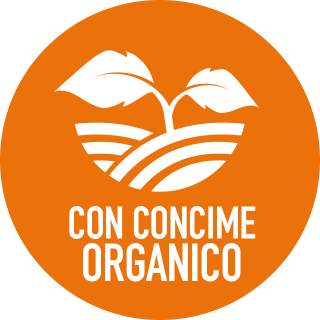 con_concime_organico_agrumi