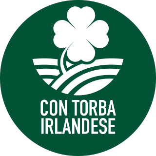 con_torba_irlandese_verde
